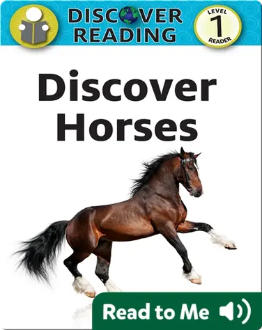 Discover Horses book