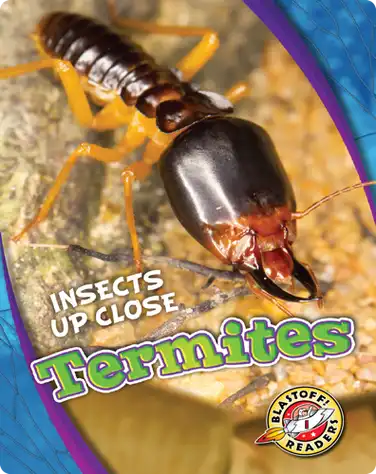 Insects Up Close: Termites book