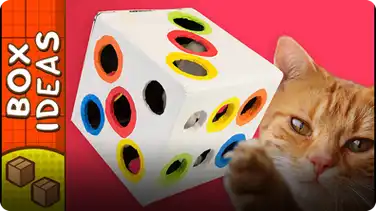 Cat Toy Dice book