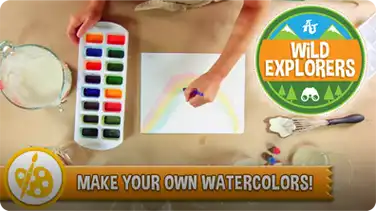 How to Make Watercolor Paints book