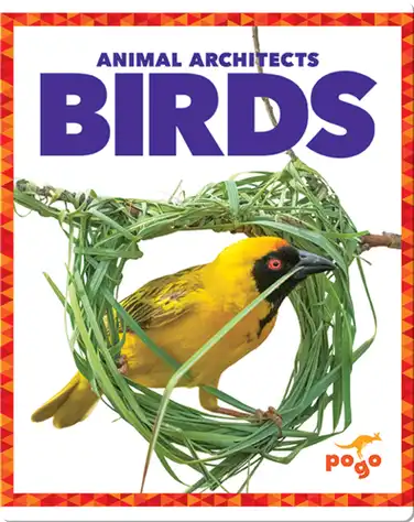 Birds book