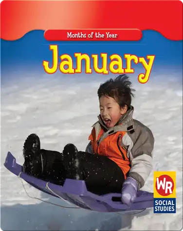 Months of the Year: January book