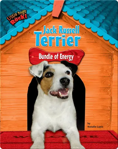 Jack Russell Terrier: Bundle of Energy book