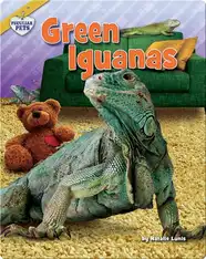 Green Iguanas