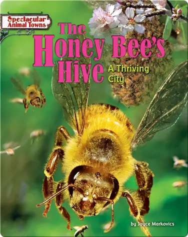 The Honey Bee's Hive: A Thriving City book