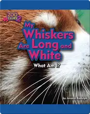 My Whiskers Are Long and White (Red Panda)