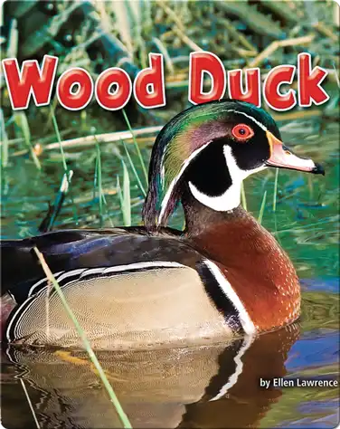 Wood Duck book