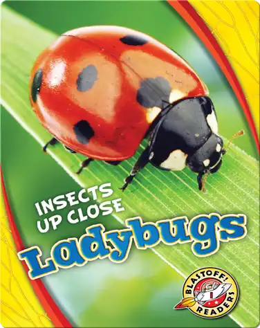 Ladybugs book