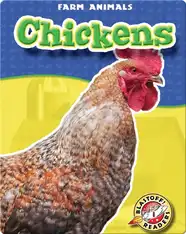 Chickens