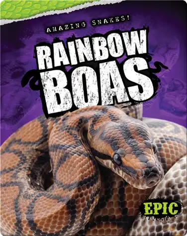 Rainbow Boas book