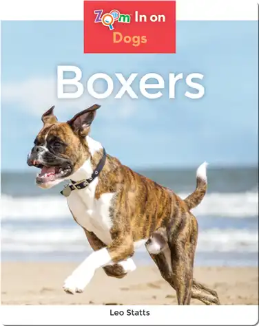 Boxers book