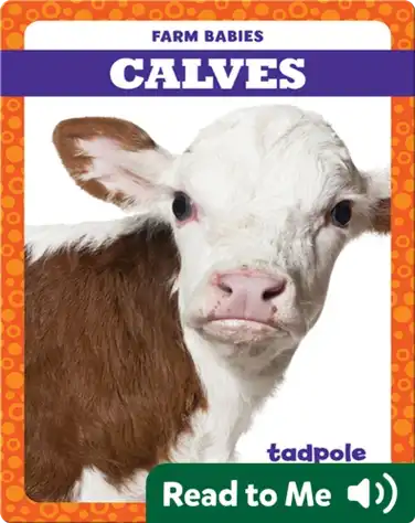 Calves book