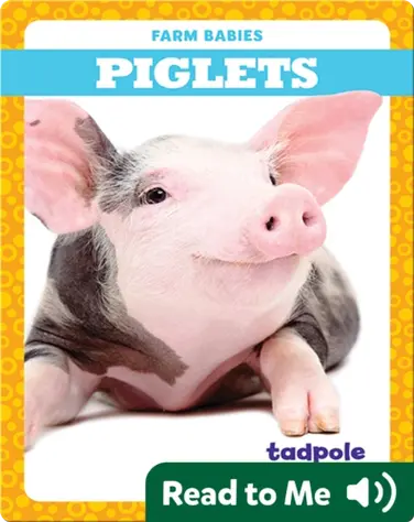 Piglets book