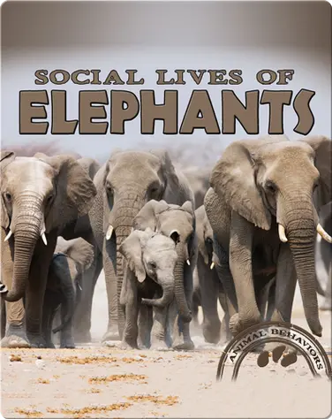 Social Lives of Elephants book