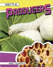 Insects as Producers