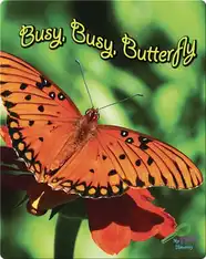Busy, Busy Butterfly