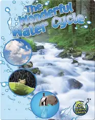 The Wonderful Water Cycle
