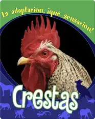 Crestas