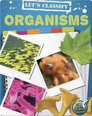 Let's Classify Organisms