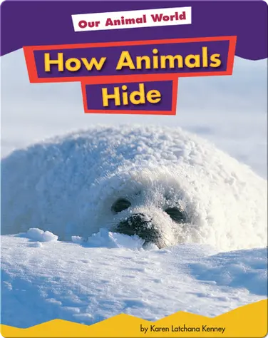 How Animals Hide book