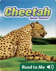 Cheetah: Speed Demon!