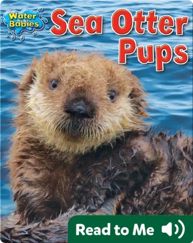 Sea Otter Pups book