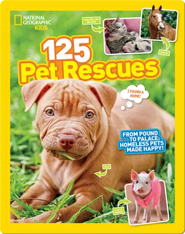 125 Pet Rescues: From Pound to Palace book