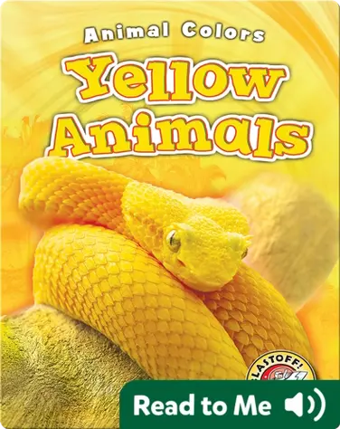 Yellow Animals book