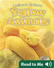 Yellow Animals