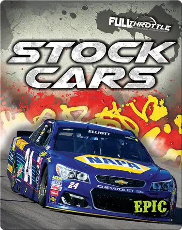 Stock Cars book