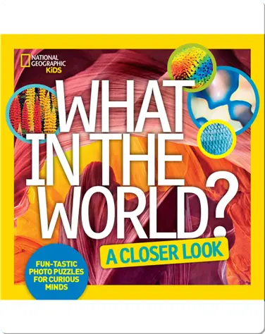 What in the World: A Closer Look book