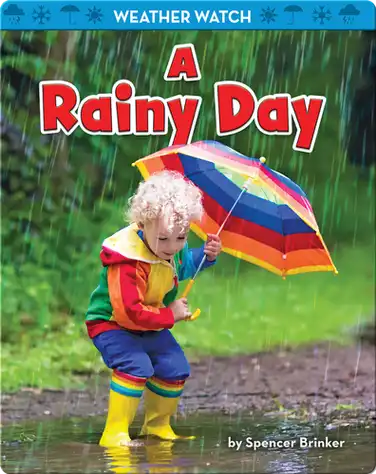 A Rainy Day book