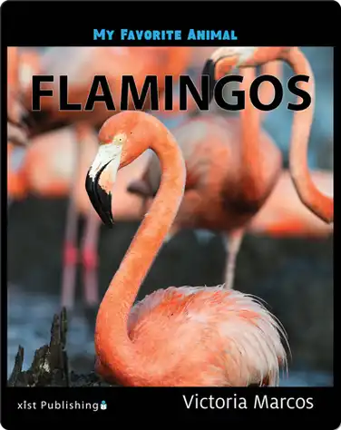 My Favorite Animal: Flamingos book