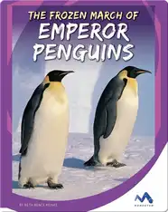Emperor Penguins