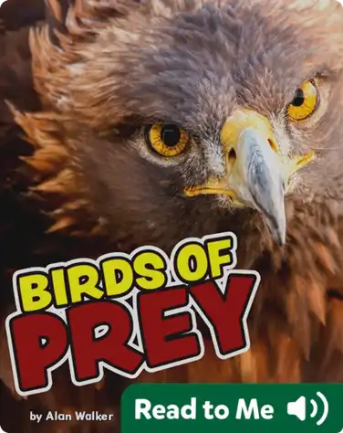 Birds Of Prey book