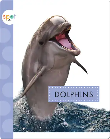 Dolphins book