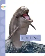 Dolphins