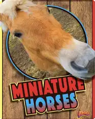 Miniature Horses