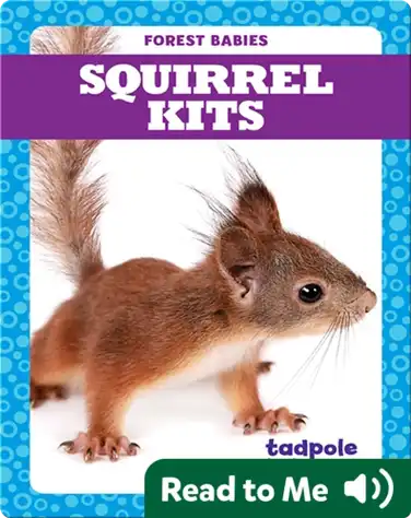 Squirrel Kits book