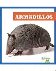 Armadillos