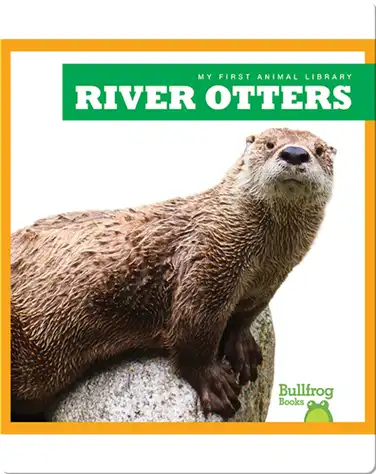 River Otters book