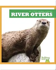 River Otters