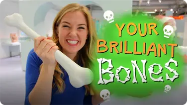 Your Brilliant Bones! book