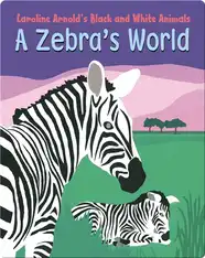 A Zebra's World