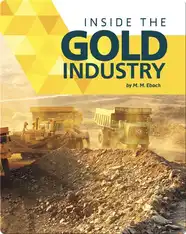Inside the Gold Industry