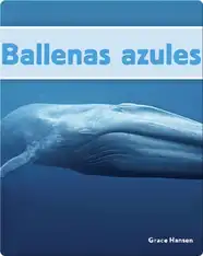 Ballenas azules