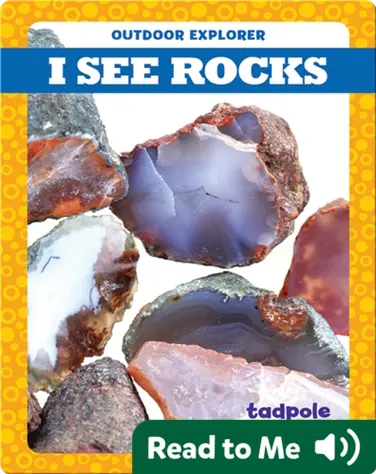 I See Rocks book