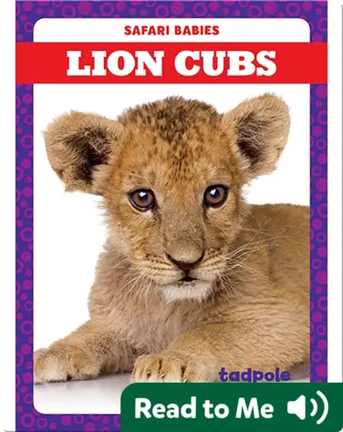 Lion Cubs book