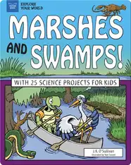 Marshes and Swamps!