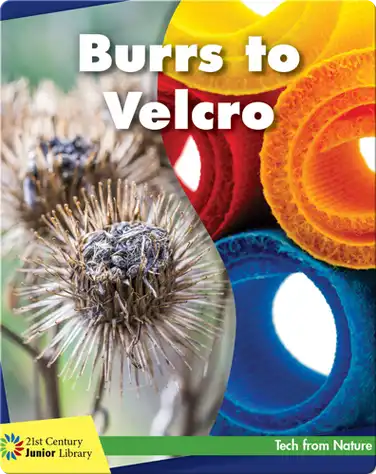 Burrs to Velcro book